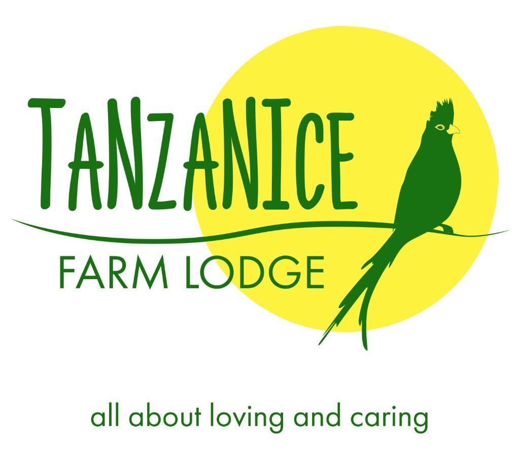 Tanzanice Farm Lodge Karatu Bagian luar foto