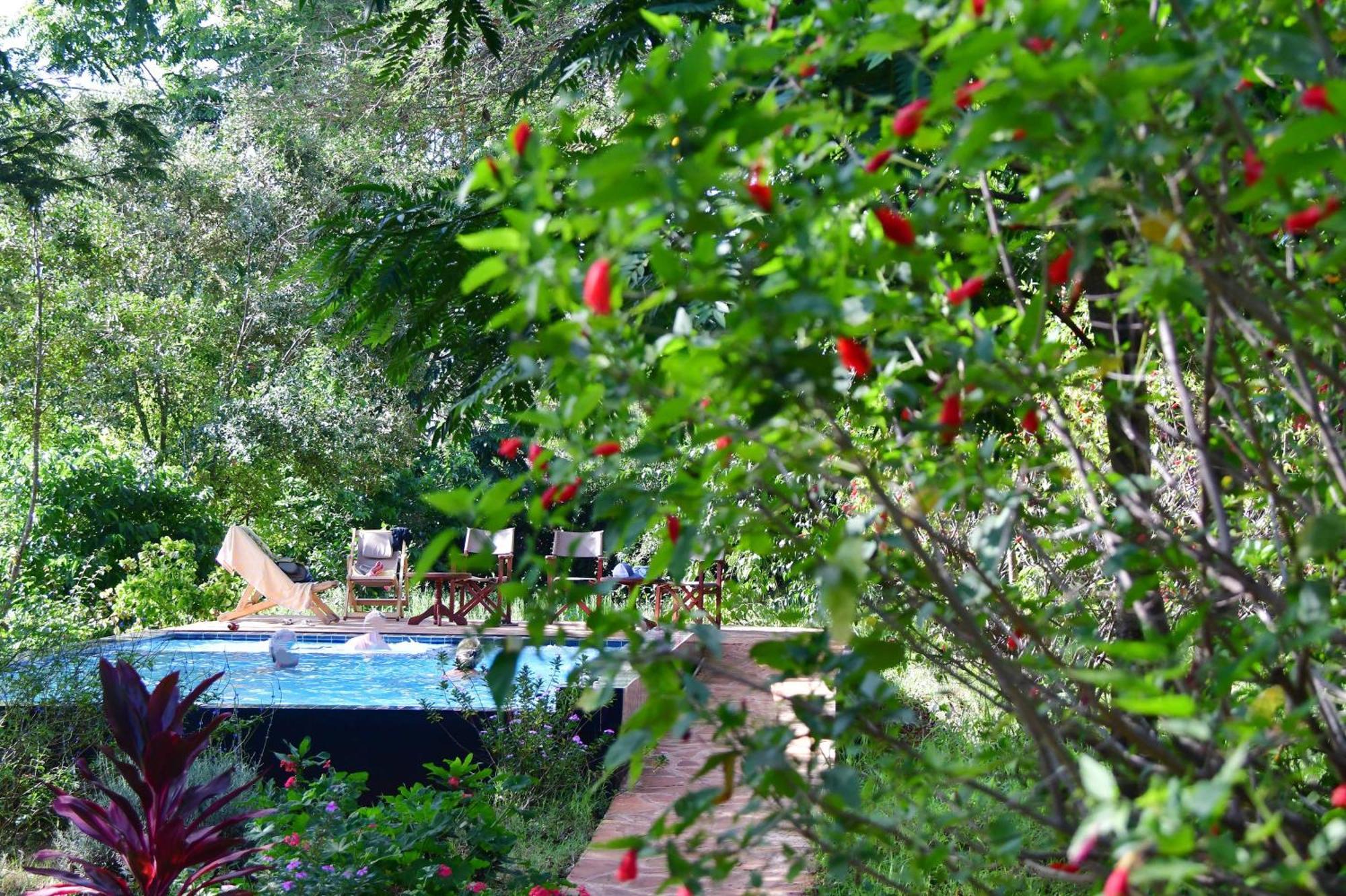 Tanzanice Farm Lodge Karatu Bagian luar foto