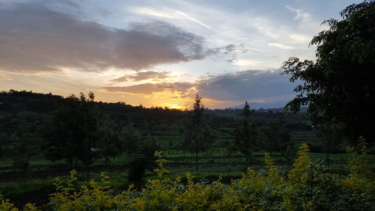 Tanzanice Farm Lodge Karatu Bagian luar foto